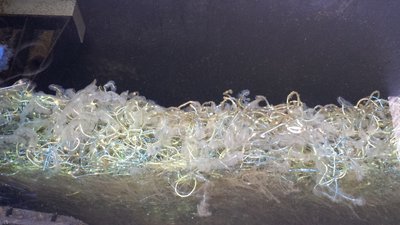 20130702_195502.jpg