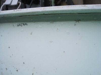 IMG_3879.JPG