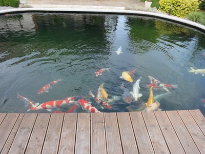tn_IMG_0554.JPG