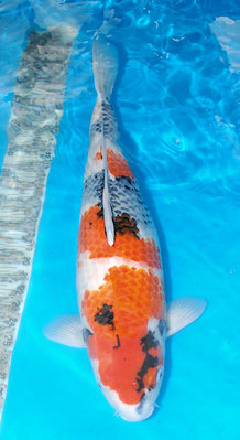 13-3007.jpg