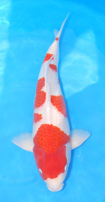 13-2146.JPG