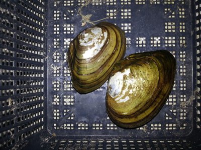20130801_202735.jpg
