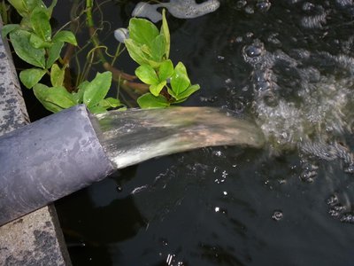 20130803_201758.jpg
