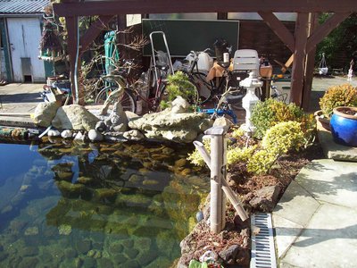 100_1133.JPG