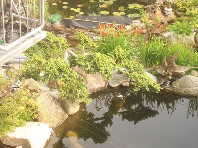 100_1692.JPG