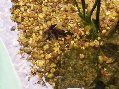 20130729_181219.jpg