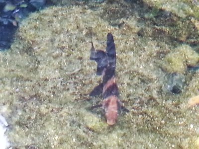 20130729_181735.jpg