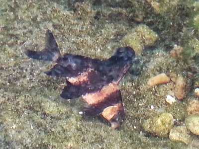 20130729_181737.jpg
