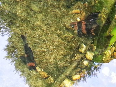 20130729_181802.jpg
