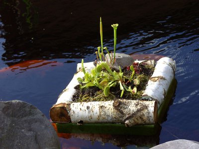 BILD0405.jpg