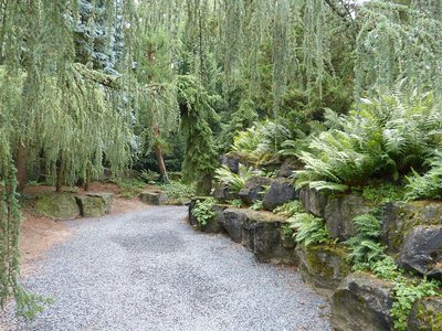 k-P1000557.JPG