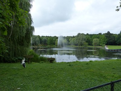 k-P1000559.JPG