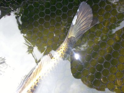 20130823_133722.jpg