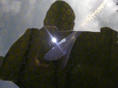20130823_133518.jpg