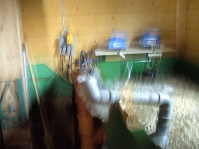 Eiweißabschäumer in Betrieb.jpg