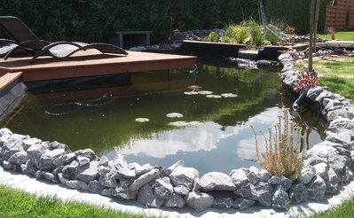 2012-10-18_173616.jpg