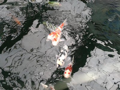 2013-08-29 16.53.30.jpg