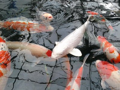 2013-08-29 16.59.27.jpg