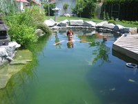 marion_im_teich (Small) (Small).jpg