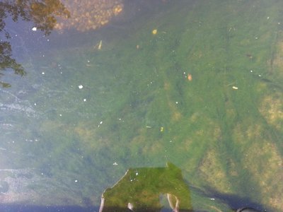 20130906_132938.jpg