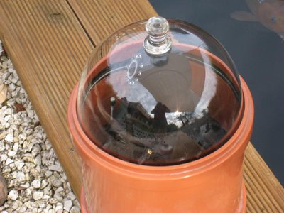 bild 19.JPG