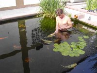 Füttern im Teich.JPG
