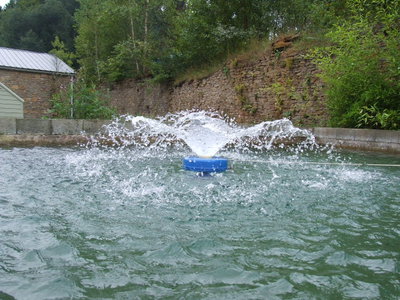 Fathom-Isplash-100w.JPG