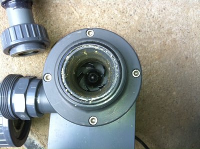 Foto 3.JPG
