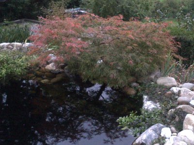 IMG-20131008-00087.jpg