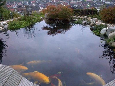 IMG-20131008-00088.jpg