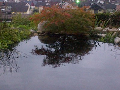 IMG-20131008-00089.jpg