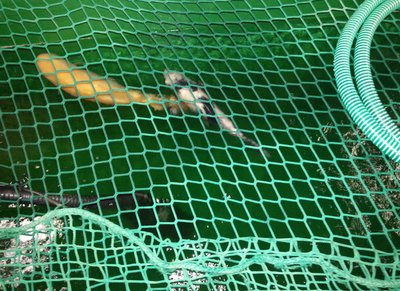 2013-10-27_134740.jpg