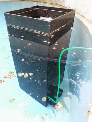 20130530_170459.jpg