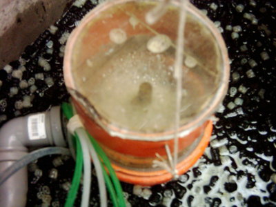 DSCI0002.JPG