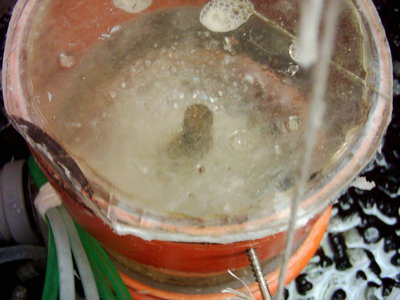 DSCI0003.JPG
