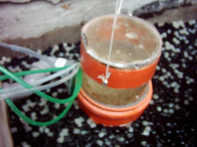 DSCI0004.JPG