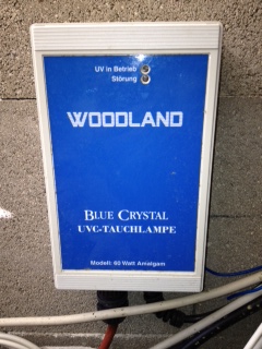 Woodland.jpg