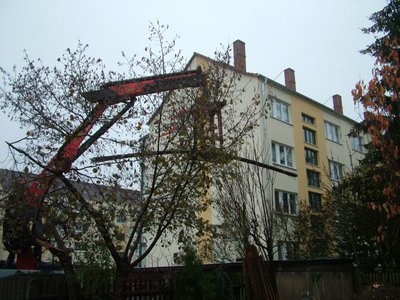 Material3445.jpg