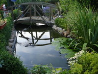 unser teich 8 juli 2010 007.jpg
