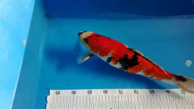 WP_20131216_018.jpg