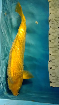 WP_20131216_029.jpg