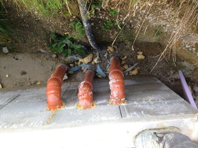 Divers 167.jpg
