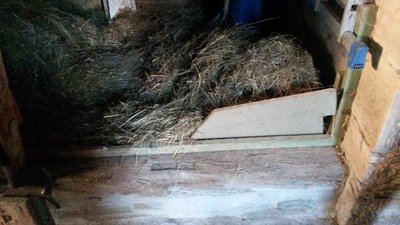 2013-12-30 09.14.41.jpg