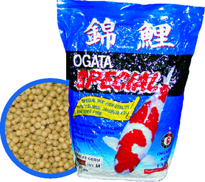 Wheat Germ.jpg