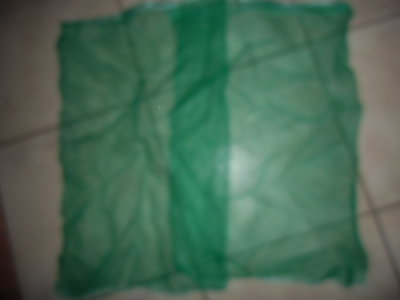 DSCI0003.JPG