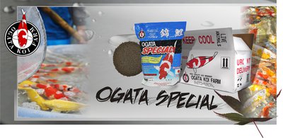 Ogata Special Banner.jpg