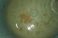 IMG_02633.jpg