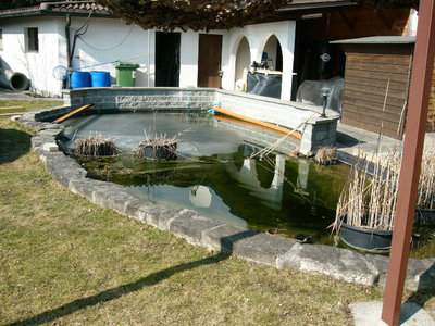 P1020329 geschnitten.jpg