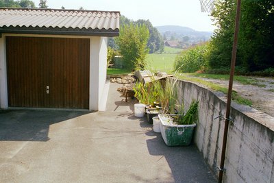 006_03.jpg