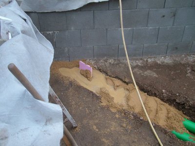 KG3665.jpg